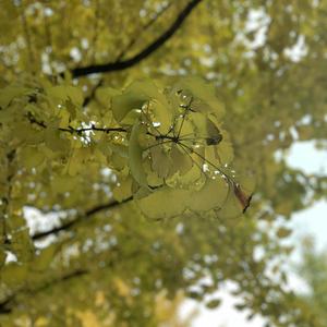 爽⋯好紧⋯别夹⋯喷水免费视频动漫
